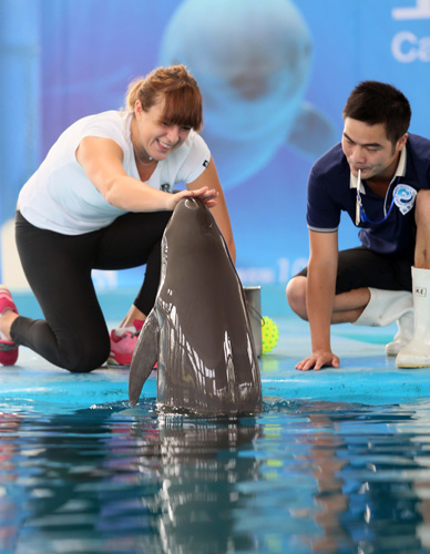 可以应用到 可以应用到